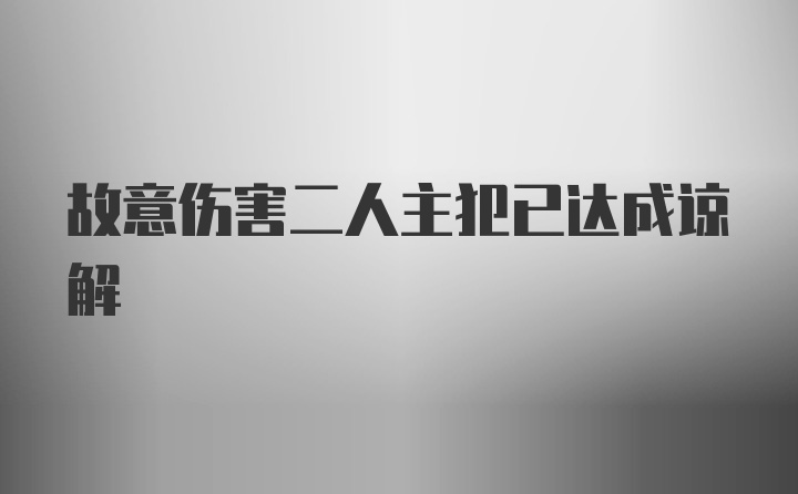 故意伤害二人主犯已达成谅解