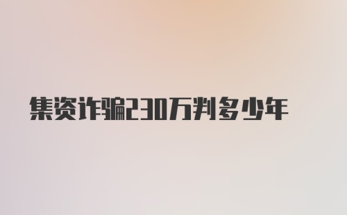 集资诈骗230万判多少年