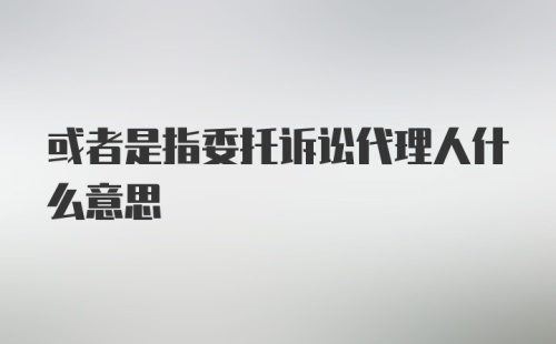 或者是指委托诉讼代理人什么意思