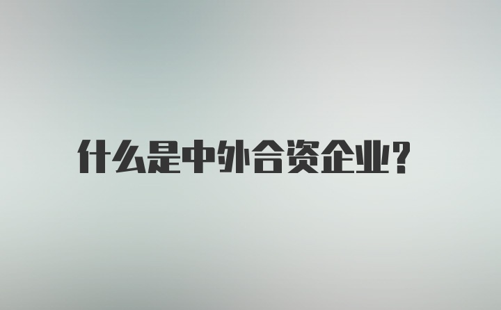 什么是中外合资企业？