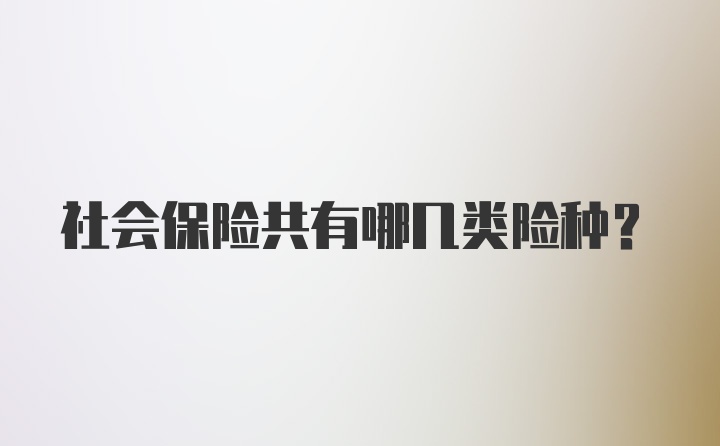 社会保险共有哪几类险种？