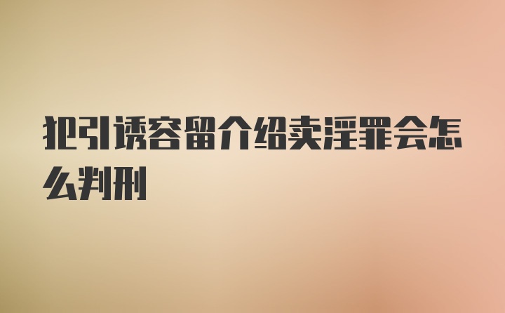 犯引诱容留介绍卖淫罪会怎么判刑