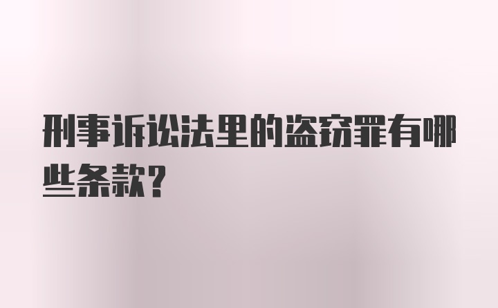 刑事诉讼法里的盗窃罪有哪些条款？