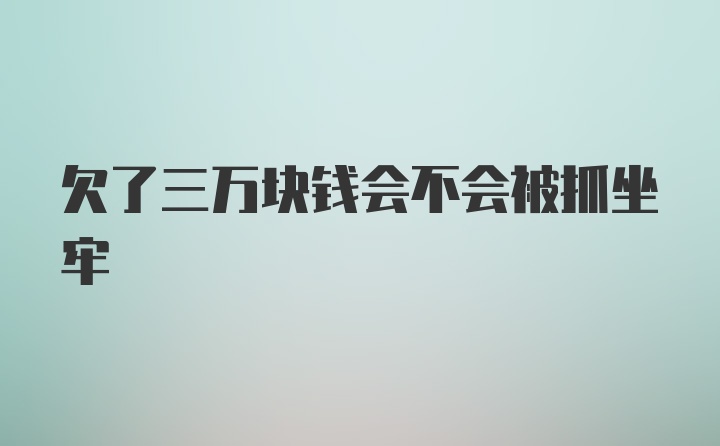 欠了三万块钱会不会被抓坐牢