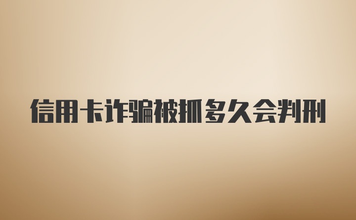 信用卡诈骗被抓多久会判刑