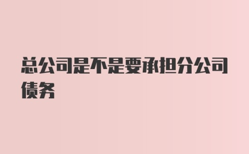 总公司是不是要承担分公司债务