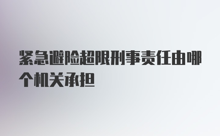 紧急避险超限刑事责任由哪个机关承担