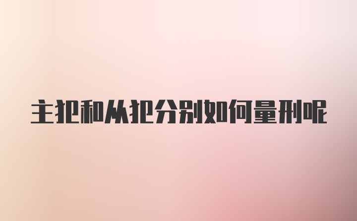 主犯和从犯分别如何量刑呢