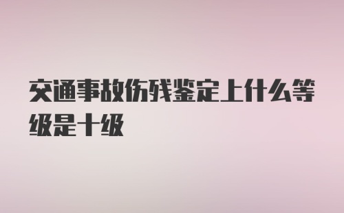 交通事故伤残鉴定上什么等级是十级