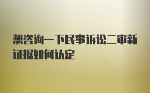 想咨询一下民事诉讼二审新证据如何认定