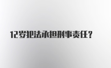 12岁犯法承担刑事责任？