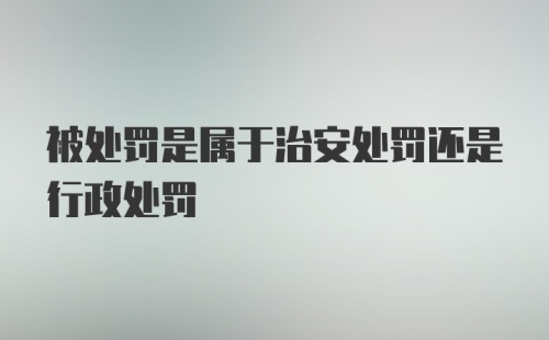 被处罚是属于治安处罚还是行政处罚