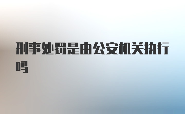 刑事处罚是由公安机关执行吗