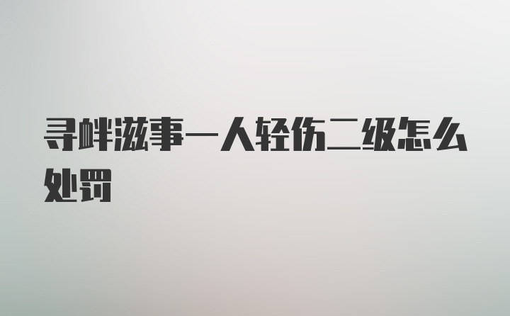 寻衅滋事一人轻伤二级怎么处罚