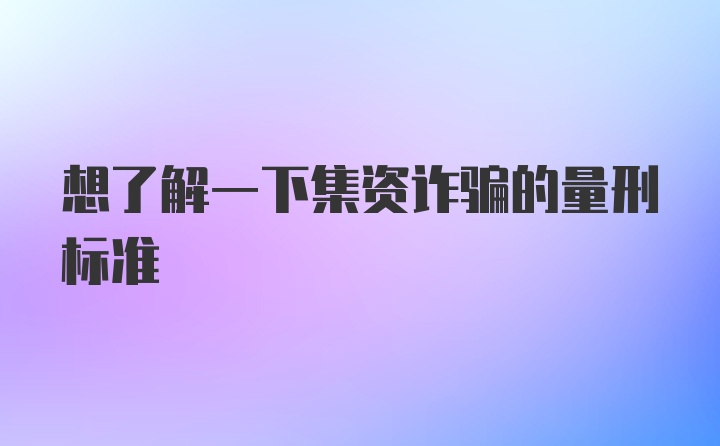 想了解一下集资诈骗的量刑标准