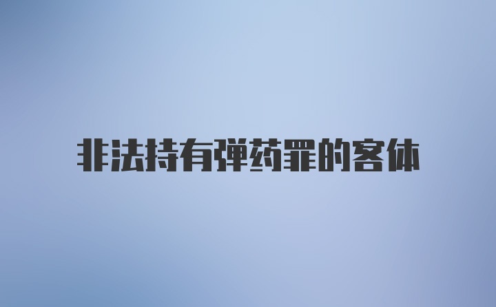 非法持有弹药罪的客体