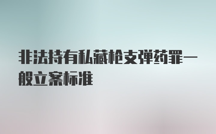 非法持有私藏枪支弹药罪一般立案标准