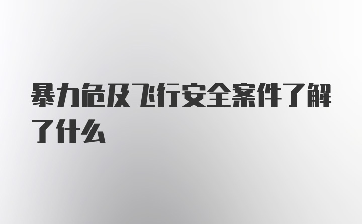 暴力危及飞行安全案件了解了什么