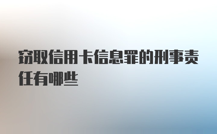 窃取信用卡信息罪的刑事责任有哪些