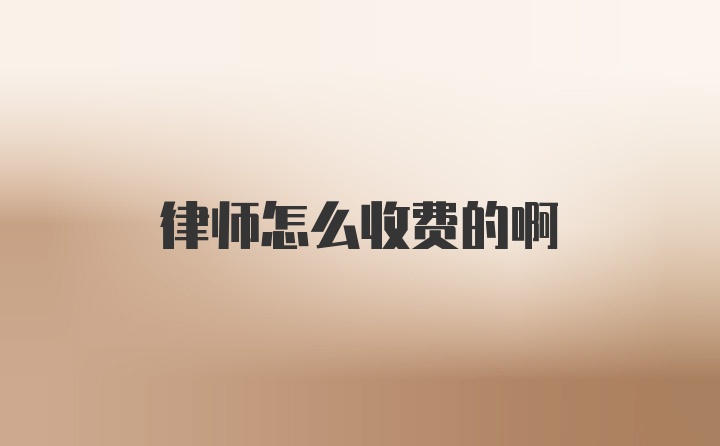 律师怎么收费的啊