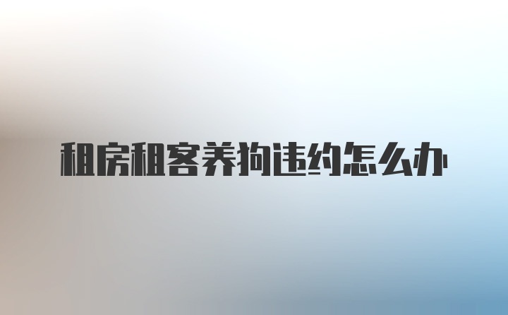 租房租客养狗违约怎么办