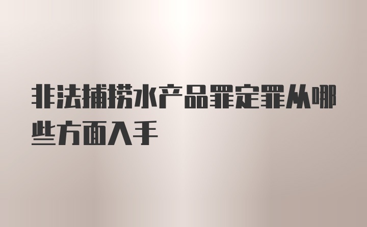 非法捕捞水产品罪定罪从哪些方面入手