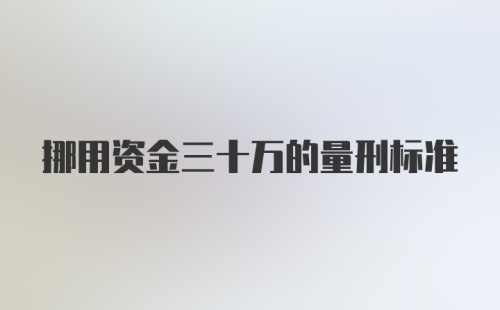 挪用资金三十万的量刑标准