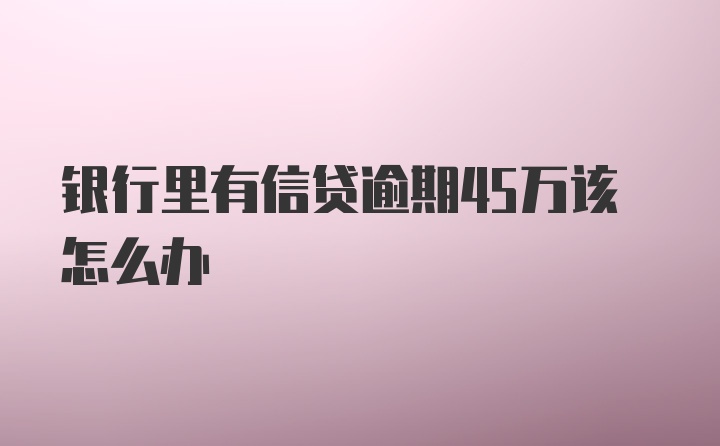 银行里有信贷逾期45万该怎么办