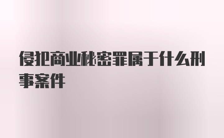 侵犯商业秘密罪属于什么刑事案件