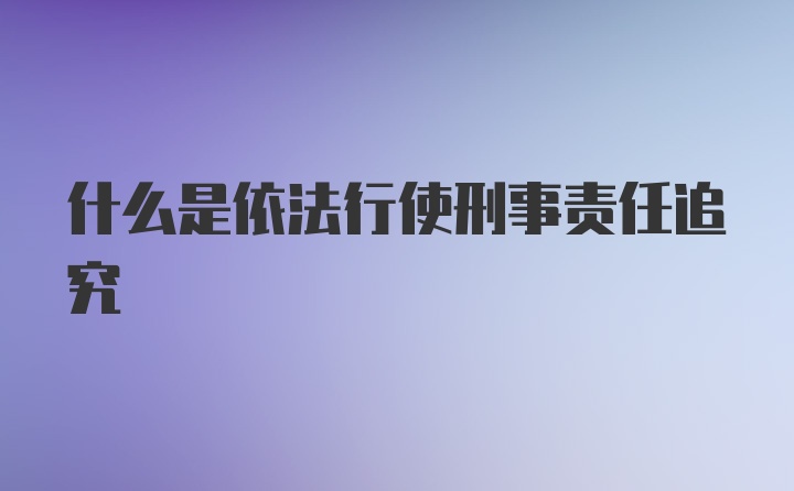 什么是依法行使刑事责任追究