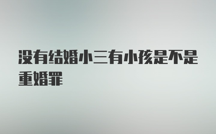 没有结婚小三有小孩是不是重婚罪