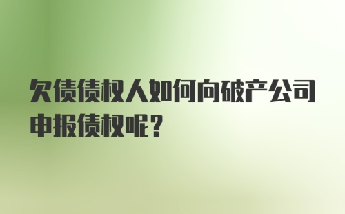 欠债债权人如何向破产公司申报债权呢?