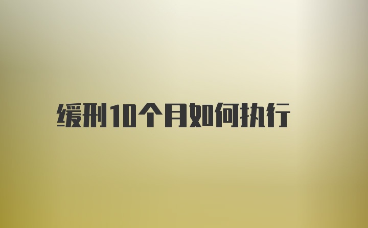 缓刑10个月如何执行