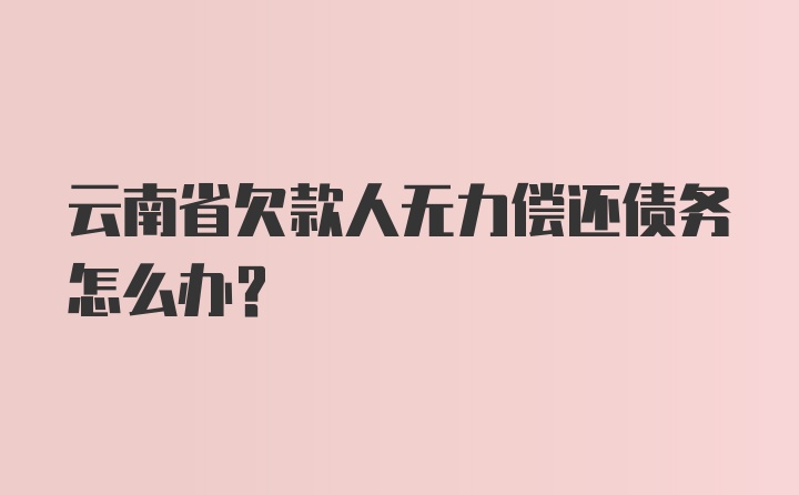 云南省欠款人无力偿还债务怎么办？