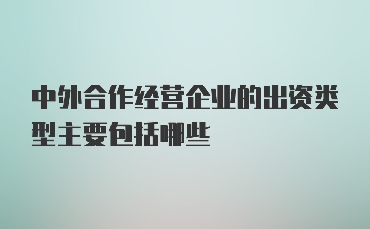 中外合作经营企业的出资类型主要包括哪些