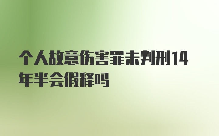 个人故意伤害罪未判刑14年半会假释吗