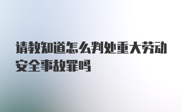 请教知道怎么判处重大劳动安全事故罪吗