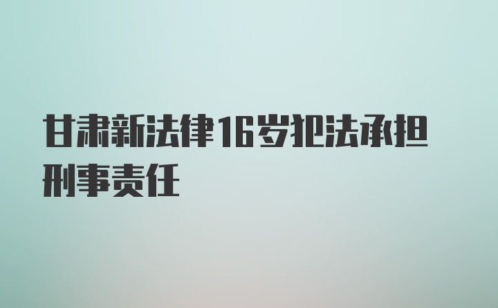 甘肃新法律16岁犯法承担刑事责任