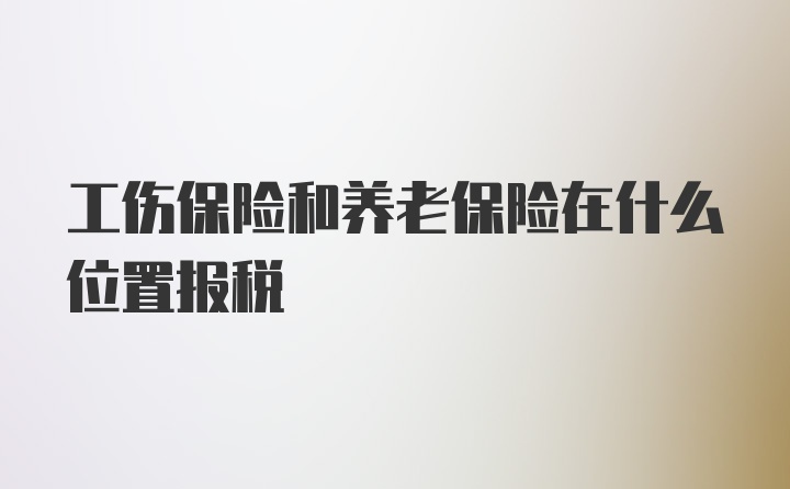 工伤保险和养老保险在什么位置报税