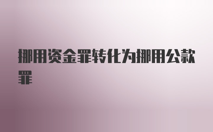 挪用资金罪转化为挪用公款罪