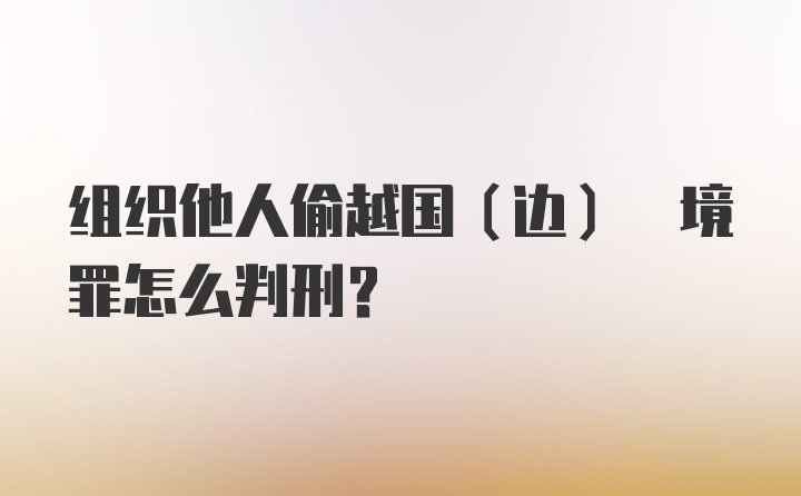 组织他人偷越国(边) 境罪怎么判刑？