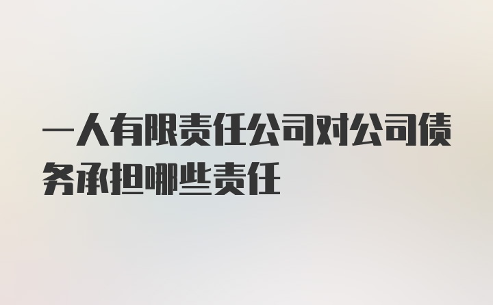 一人有限责任公司对公司债务承担哪些责任