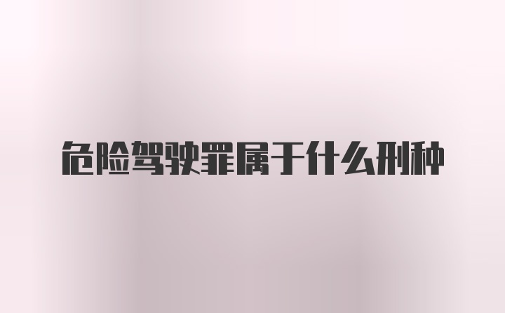 危险驾驶罪属于什么刑种