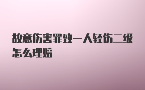 故意伤害罪致一人轻伤二级怎么理赔