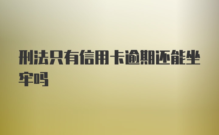 刑法只有信用卡逾期还能坐牢吗