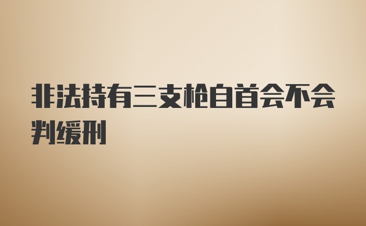 非法持有三支枪自首会不会判缓刑