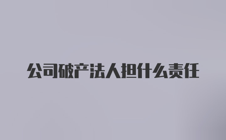 公司破产法人担什么责任