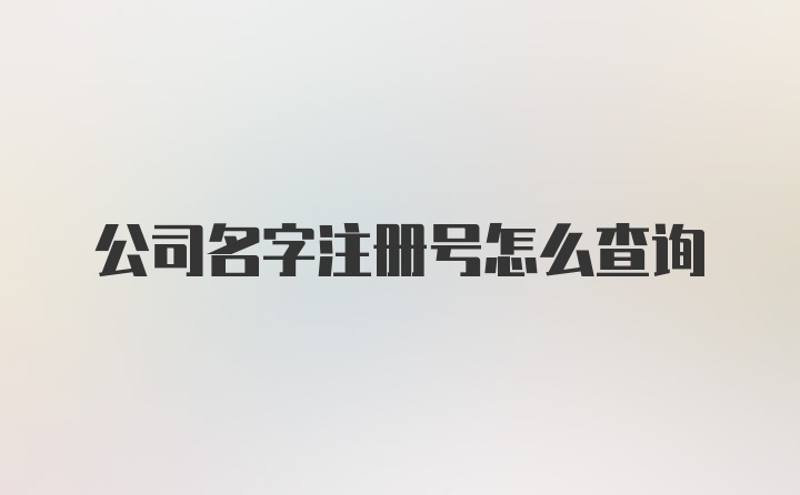 公司名字注册号怎么查询