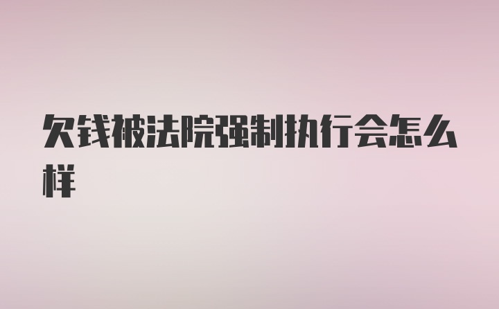 欠钱被法院强制执行会怎么样