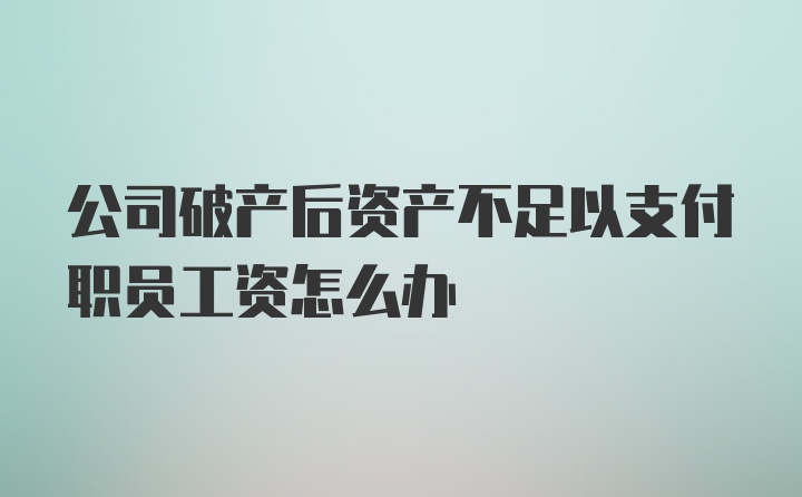 公司破产后资产不足以支付职员工资怎么办